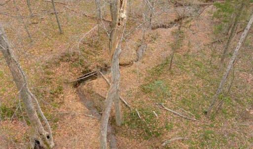 Photo #8 of Lot 5 SIENNA LN, EARLYSVILLE, VA 11.8 acres
