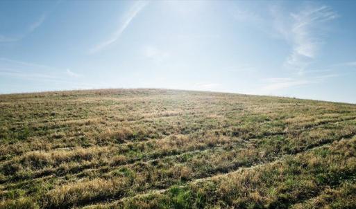 Photo #13 of ORKNEY GRADE, MOUNT JACKSON, VA 8.6 acres