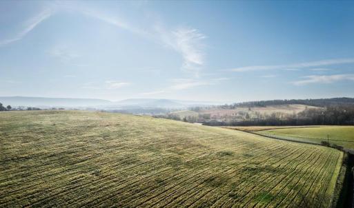 Photo #9 of ORKNEY GRADE, MOUNT JACKSON, VA 8.6 acres