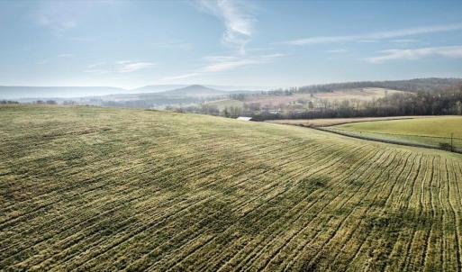 Photo #14 of ORKNEY GRADE, MOUNT JACKSON, VA 8.6 acres