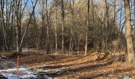 Photo #5 of TBD UPPER BACK CREEK RD, MONTEREY, VA 118.5 acres