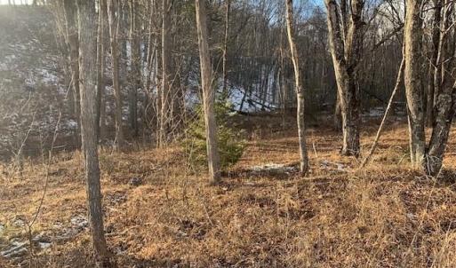 Photo #7 of TBD UPPER BACK CREEK RD, MONTEREY, VA 118.5 acres