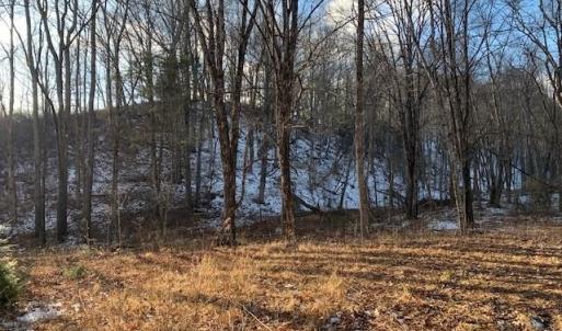 Photo #3 of TBD UPPER BACK CREEK RD, MONTEREY, VA 118.5 acres