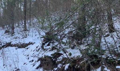 Photo #8 of TBD UPPER BACK CREEK RD, MONTEREY, VA 118.5 acres