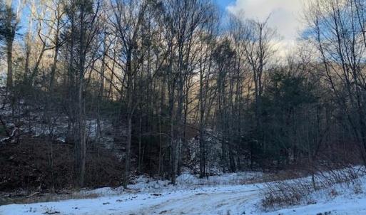 Photo #11 of TBD UPPER BACK CREEK RD, MONTEREY, VA 118.5 acres