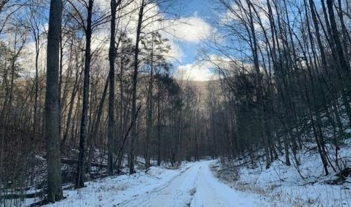 Photo #12 of TBD UPPER BACK CREEK RD, MONTEREY, VA 118.5 acres