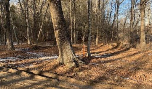 Photo #4 of TBD UPPER BACK CREEK RD, MONTEREY, VA 118.5 acres