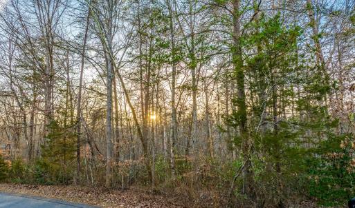 Photo #1 of HOPI WAY, PALMYRA, VA 0.8 acres