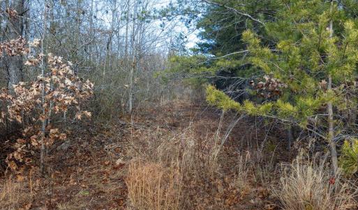 Photo #6 of 3.94 AC PEACE AND QUIET CIR, REVA, VA 3.9 acres