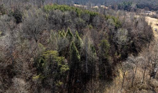 Photo #10 of 3.94 AC PEACE AND QUIET CIR, REVA, VA 3.9 acres