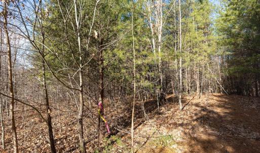 Photo #5 of 3.94 AC PEACE AND QUIET CIR, REVA, VA 3.9 acres