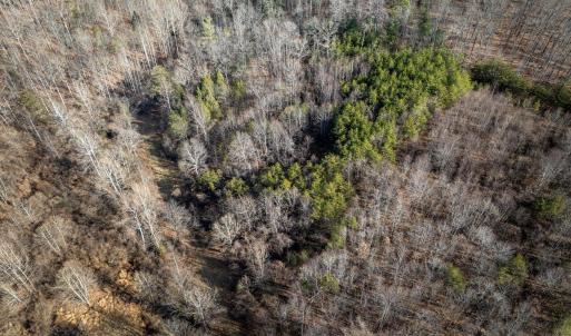 Photo #8 of 3.94 AC PEACE AND QUIET CIR, REVA, VA 3.9 acres