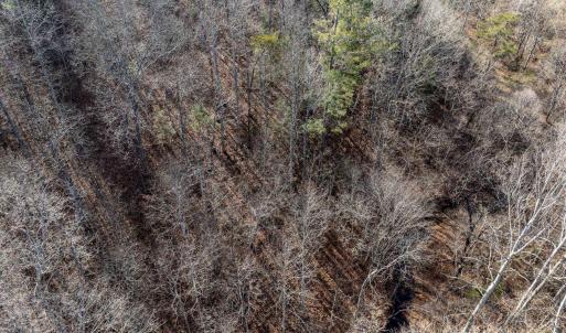 Photo #17 of 3.94 AC PEACE AND QUIET CIR, REVA, VA 3.9 acres