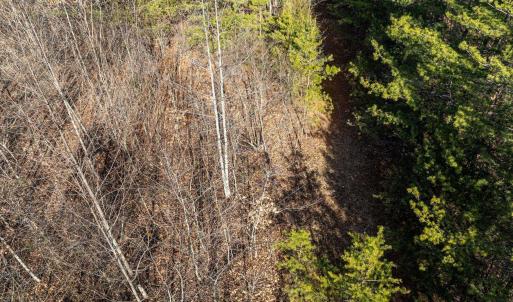 Photo #18 of 3.94 AC PEACE AND QUIET CIR, REVA, VA 3.9 acres