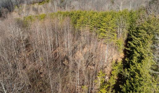 Photo #4 of 3.94 AC PEACE AND QUIET CIR, REVA, VA 3.9 acres