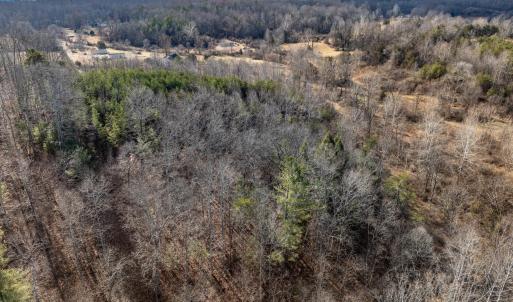 Photo #11 of 3.94 AC PEACE AND QUIET CIR, REVA, VA 3.9 acres