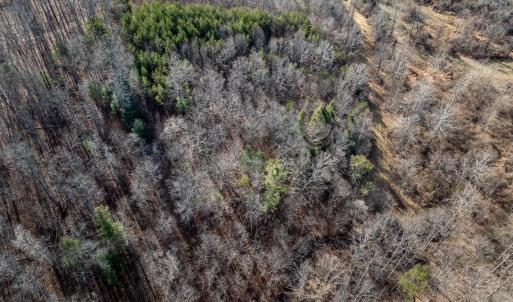 Photo #14 of 3.94 AC PEACE AND QUIET CIR, REVA, VA 3.9 acres