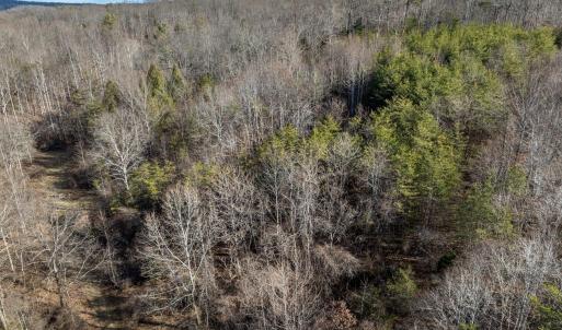 Photo #9 of 3.94 AC PEACE AND QUIET CIR, REVA, VA 3.9 acres