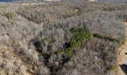 Photo #7 of 3.94 AC PEACE AND QUIET CIR, REVA, VA 3.9 acres