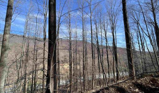 Photo #12 of TBD BEECH GROVE RD, ROSELAND, VA 4.3 acres