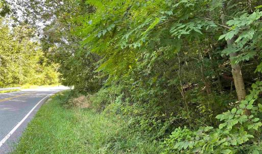 Photo #10 of TBD BEECH GROVE RD, ROSELAND, VA 4.3 acres
