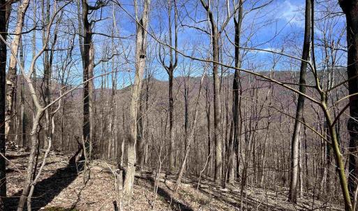 Photo #13 of TBD BEECH GROVE RD, ROSELAND, VA 4.3 acres