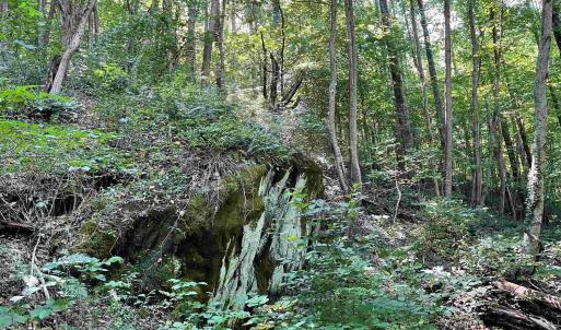 Photo #7 of TBD BEECH GROVE RD, ROSELAND, VA 4.3 acres