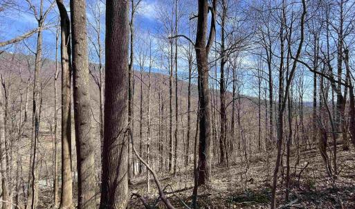 Photo #2 of TBD BEECH GROVE RD, ROSELAND, VA 4.3 acres