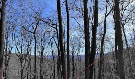 Photo #14 of TBD BEECH GROVE RD, ROSELAND, VA 4.3 acres