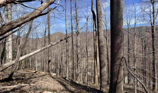 Photo #1 of TBD BEECH GROVE RD, ROSELAND, VA 4.3 acres