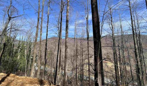 Photo #3 of TBD BEECH GROVE RD, ROSELAND, VA 4.3 acres