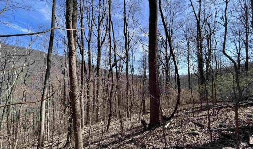 Photo #4 of TBD BEECH GROVE RD, ROSELAND, VA 4.3 acres