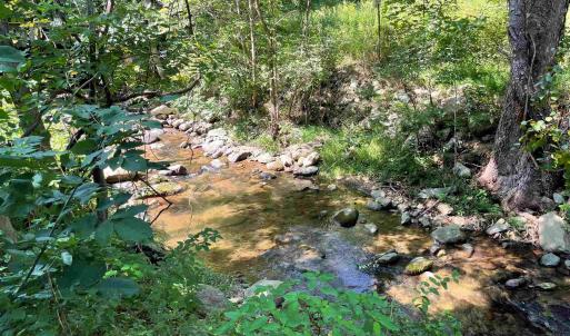 Photo #5 of TBD BEECH GROVE RD, ROSELAND, VA 4.3 acres