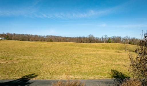 Photo #22 of 7.9 ac FLAT ROCK RD, NEW MARKET, VA 8.0 acres
