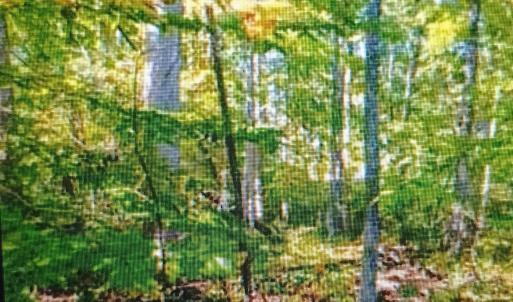 Photo #1 of Lot 1154 FERNDALE DR, LOUISA, VA 0.3 acres