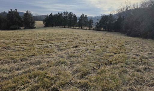 Photo #8 of lot 1 EVELYNS WAY, STANARDSVILLE, VA 2.1 acres
