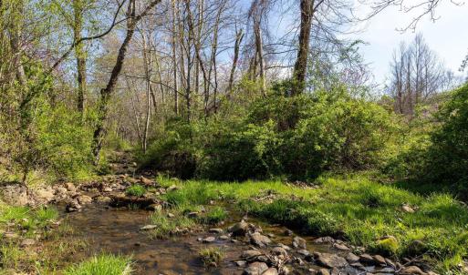 Photo #4 of lot 5 EVELYNS WAY, STANARDSVILLE, VA 21.4 acres