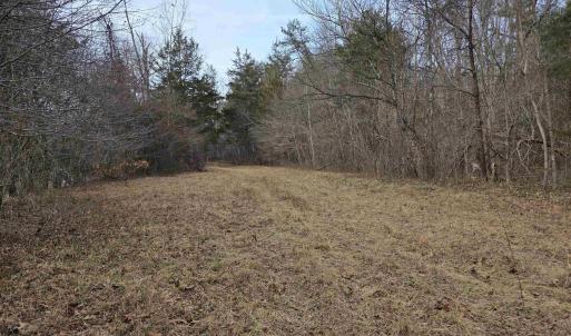 Photo #8 of lot 6 EVELYNS WAY, STANARDSVILLE, VA 23.5 acres
