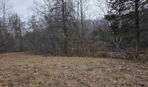 Photo #7 of lot 6 EVELYNS WAY, STANARDSVILLE, VA 23.5 acres