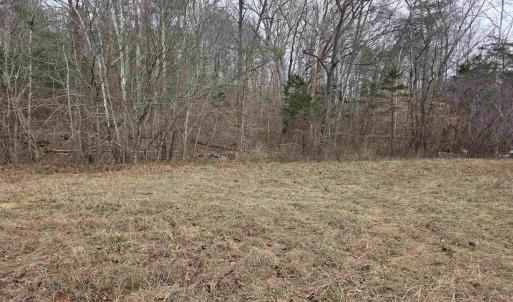 Photo #6 of lot 6 EVELYNS WAY, STANARDSVILLE, VA 23.5 acres