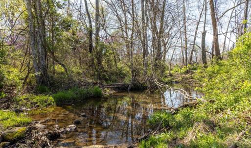 Photo #5 of lot 6 EVELYNS WAY, STANARDSVILLE, VA 23.5 acres