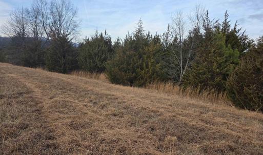 Photo #5 of lot 8 EVELYNS WAY, STANARDSVILLE, VA 2.1 acres