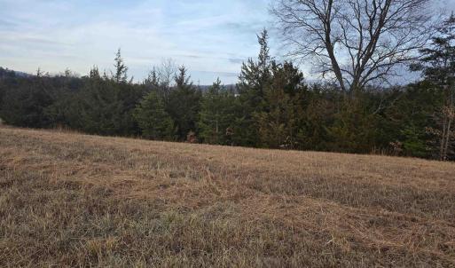 Photo #6 of lot 9 EVELYNS WAY, STANARDSVILLE, VA 10.2 acres