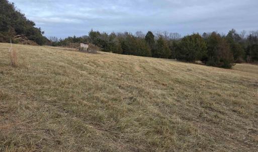 Photo #3 of lot 11 EVELYNS WAY, STANARDSVILLE, VA 2.5 acres