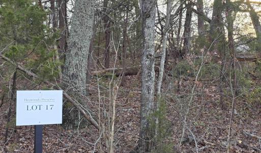 Photo #5 of lot 17 PEA RIDGE RD, STANARDSVILLE, VA 2.0 acres