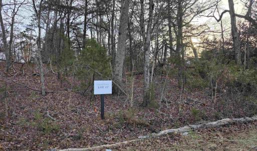 Photo #4 of lot 17 PEA RIDGE RD, STANARDSVILLE, VA 2.0 acres