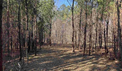 Photo #2 of 3860-1 GILBERT STATION RD, BARBOURSVILLE, VA 2.1 acres