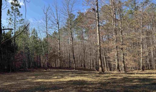 Photo #4 of 3860-1 GILBERT STATION RD, BARBOURSVILLE, VA 2.1 acres