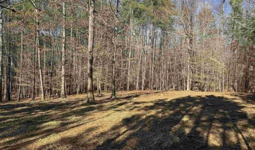 Photo #3 of 3860-1 GILBERT STATION RD, BARBOURSVILLE, VA 2.1 acres