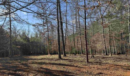 Photo #5 of 3860-2 GILBERT STATION RD, BARBOURSVILLE, VA 2.1 acres